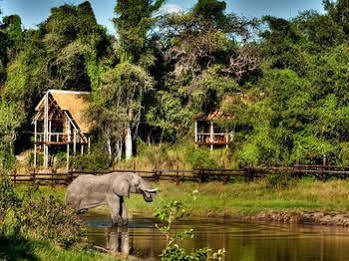 Camp Savuti Hotel Kültér fotó